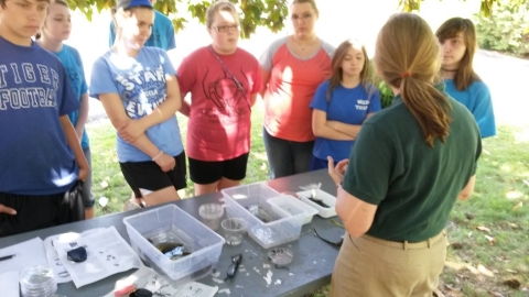 Teaching about wildlife