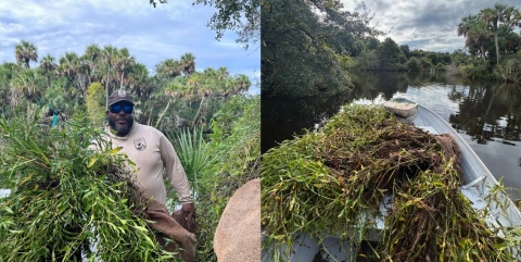 Fish Habitat Restoration- Saint Sebastian River, FL