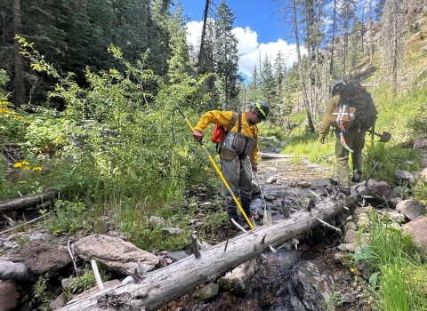 Two people walk with large poles towards a shallow creek within an open forest