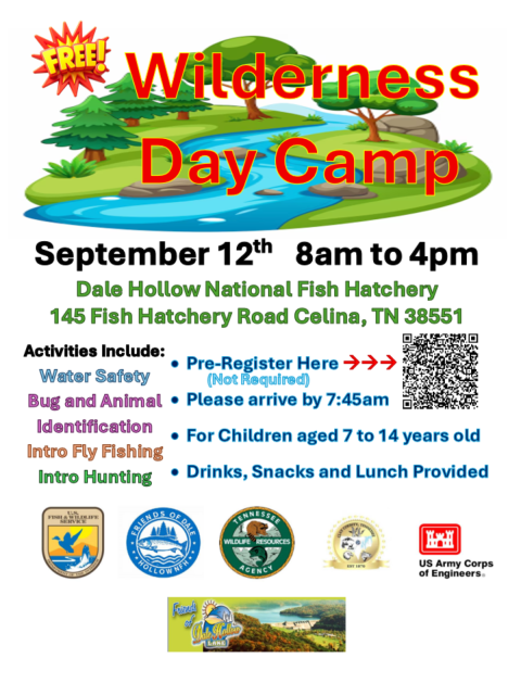 Wilderness Day Camp Flyer