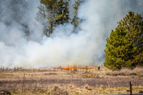 Fire Fighters manage a prescribed burn at Turnbull National Wildlife Refuge.