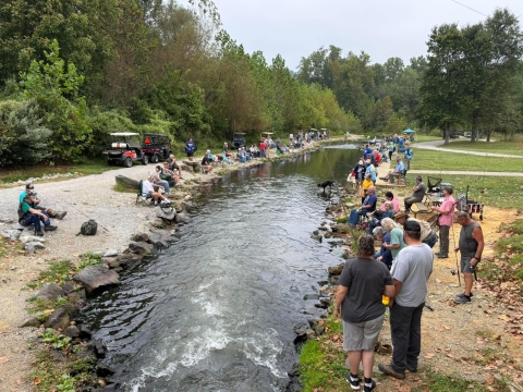 People fishing at stream