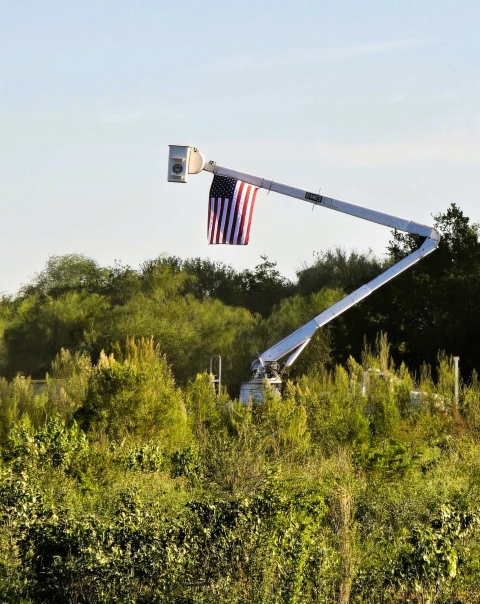 An American flag flies on a lift over dense green shrubs and trees.