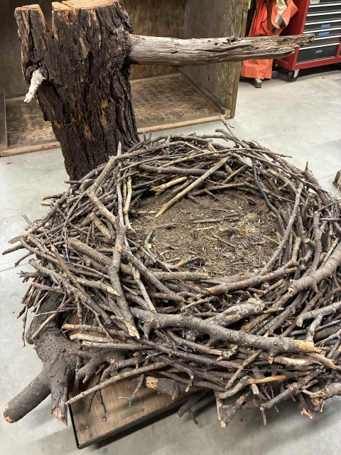 Photo of a large nest on a low platform on a concrete slab