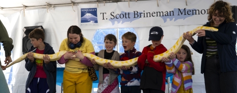 A group of children holds up an enormous yellow and white snake while reacting