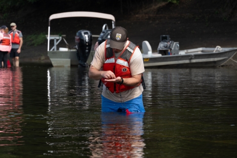 Biologist sorting mussels