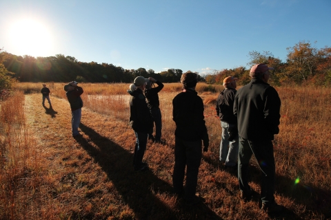 Bird watchers at Higbee Beach WMA