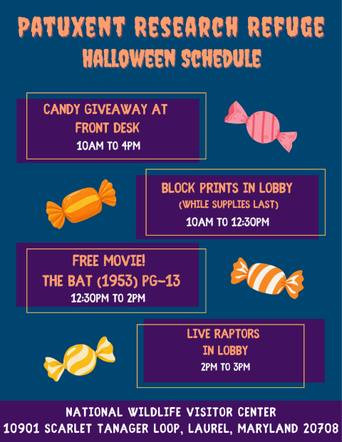 Patuxent Research Refuge Halloween schedule listing candy giveaway (10am to 4pm), block prints (10am to 12:30pm, while supplies last), a free movie (12:30PM to 2pm), and live raptors (2pm to 3pm).