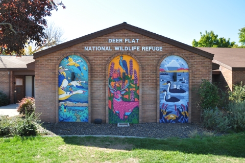 Three colorful murals showcasing various wildlife on a brick building.