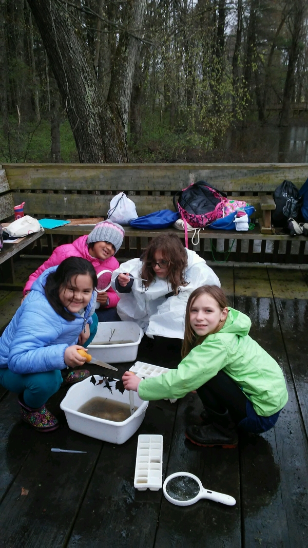 Hadley Girl Scouts At Fort River