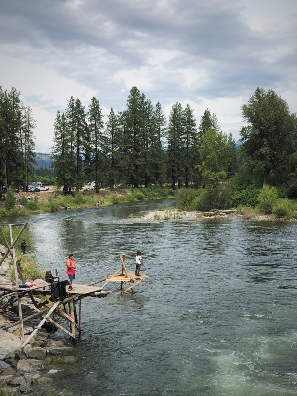 Tribal anglers stand on wooden platforms along the bank of Icicle Creek to fish for spring Chinook salmon