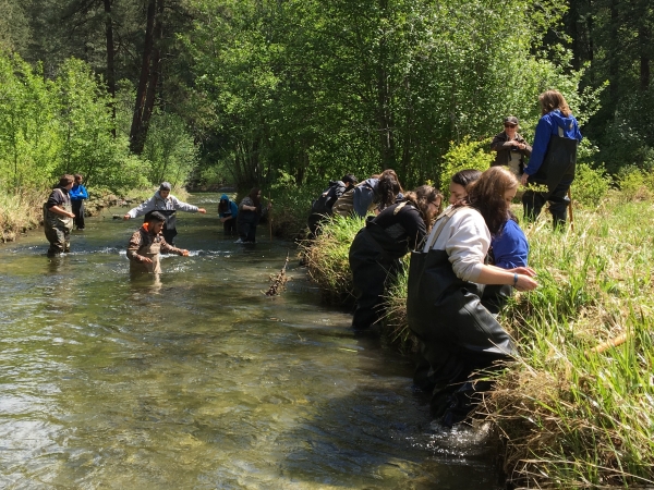 Students wearing waders collect water data from a stream 