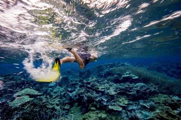 A man kicking flippers at the surface with his head and goggles pointing towards a reef looking at corals