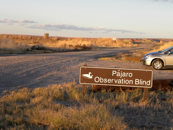 A brown sign with ducks on the side of a road that reads Pajaro Observation Blind