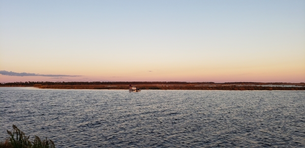 Angler in boat in marsh at sunset