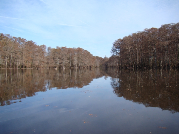 An image of a lake with trees in late fall color.