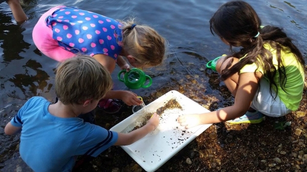 An image of children exploring a wetland.