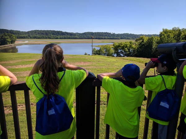 An image of children observing wildlife with binoculars while standing on an observation deck.