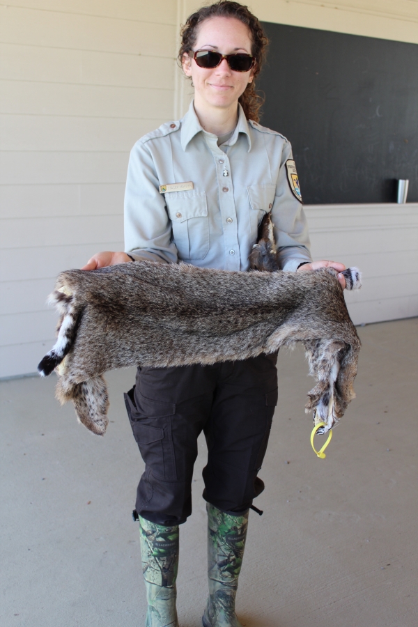 An image of a refuge employee displaying an animal hide.