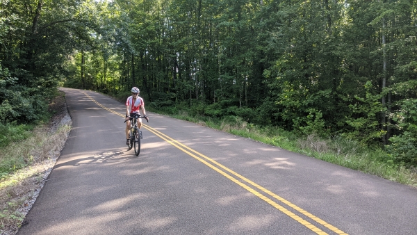 An image of a person riding their bike along a refuge road lined in trees.
