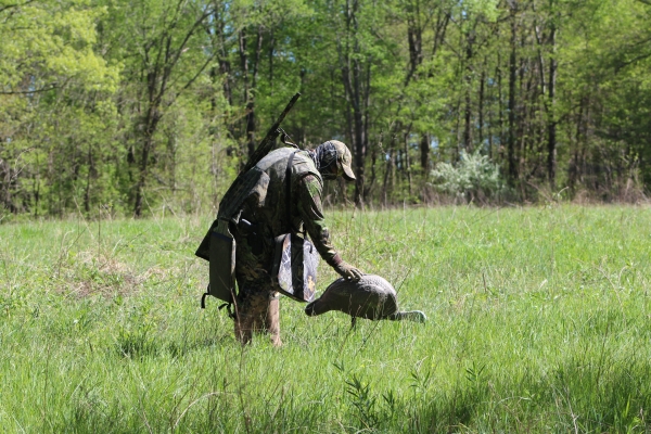 An image of a turkey hunter setting out decoys.