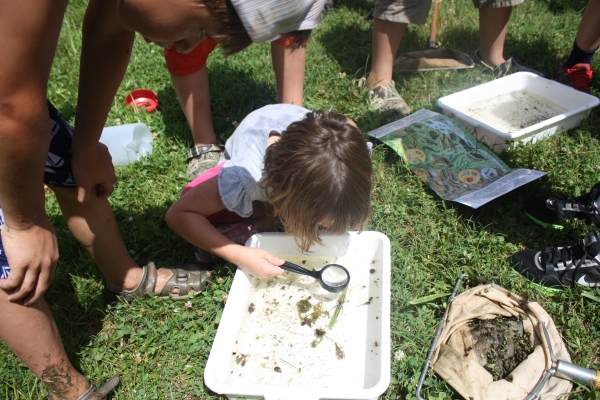 An image of a child using a magnifying glass to look at small water animals.