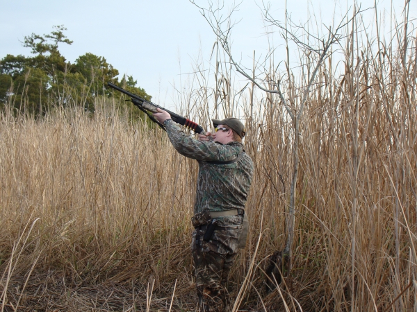 Duck hunter looks skyward and takes aim with his shotgun.