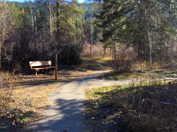 An autumn view of a paved trail at an intersection with a bench and a small sign on a post. Fallen leaves are on the ground, and bushes have lost their leaves.