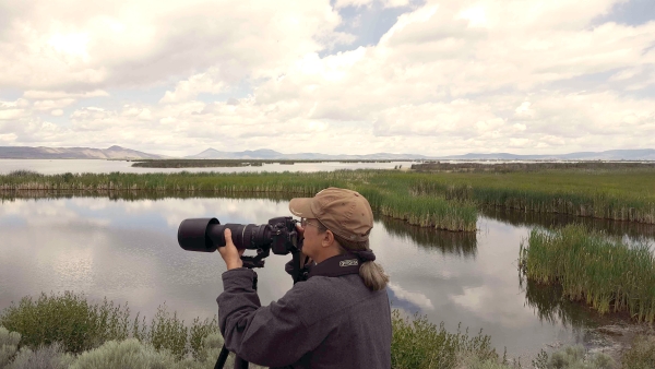 Photographer photographing the wetland at Tule Lake NWR