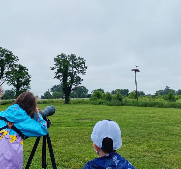 kids looking at osprey nest through spotting scope