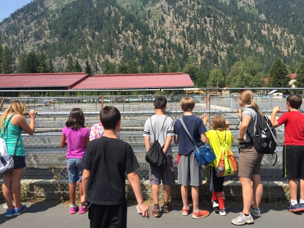 A group of students and 1 adult wearing shorts and t-shirts and backpacks look over or through a fence into a fish raceway.
