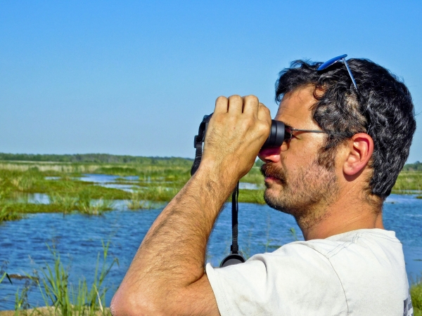Man using binoculars to view wildlife
