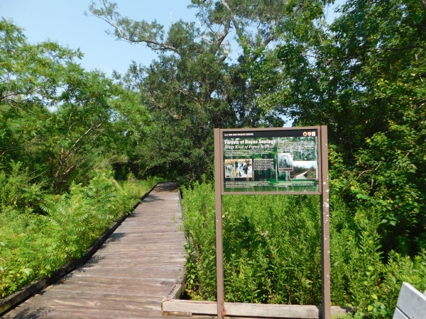 Interpretive sign on natural trail boardwalk in forest