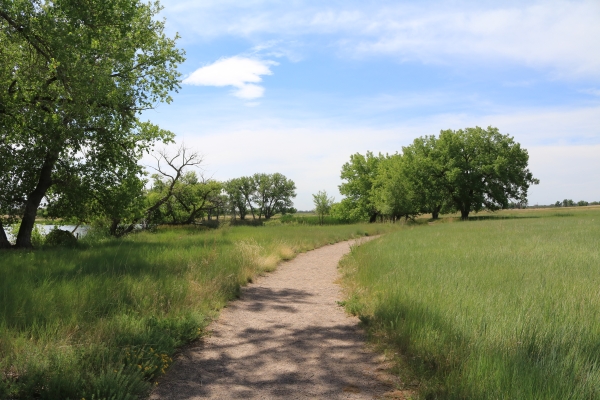 Rocky Mountain Arsenal NWR Lake Ladora trail with prairie grasses and cottonwood trees