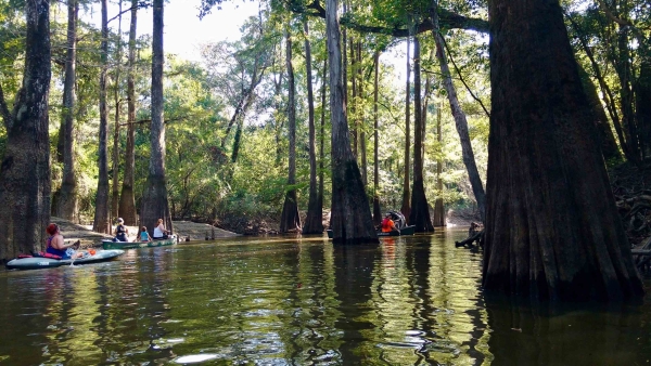 Boater in kayaks and canoes exploring bayou