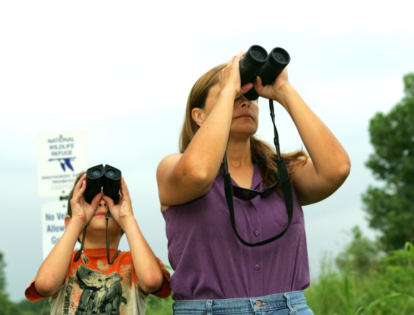 Woman and child use binoculars to look at birds.