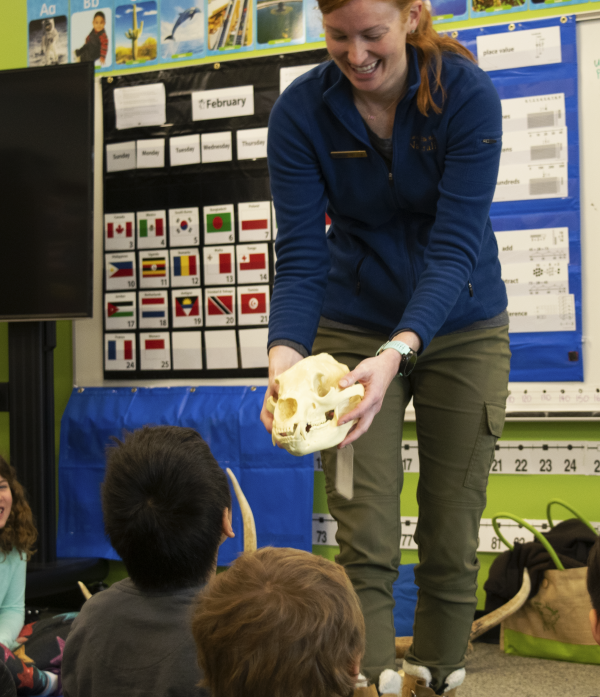 Educator holding out a grizzly skull in front of students