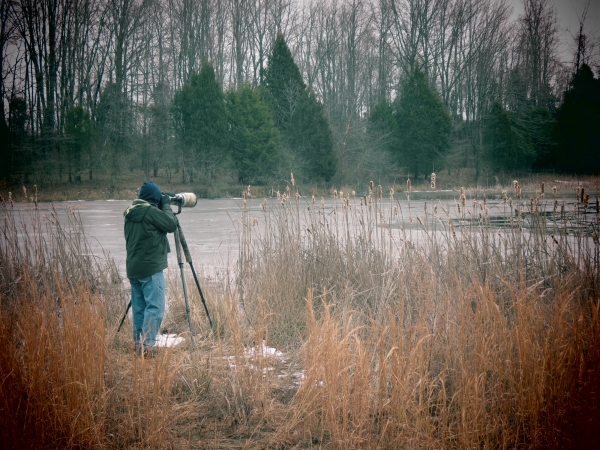 Photographer with camera looking at distant otter in pond