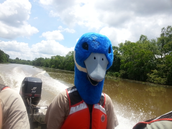 Blue Goose in a motorboat