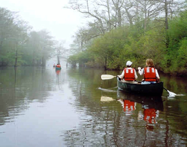 Two people canoeing along waterway in flooded bottomland forest habitat
