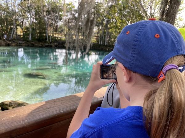 Young student takes pictures of manatees resting in Three Sisters Springs 
