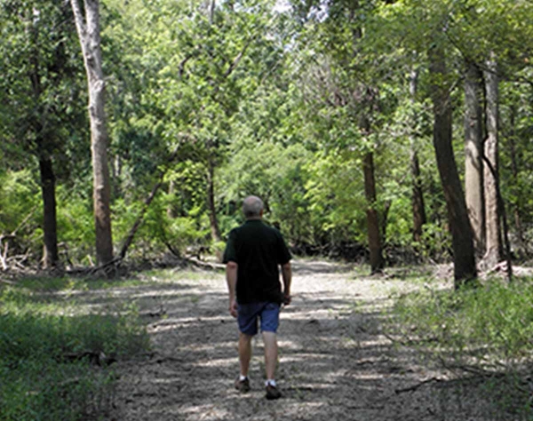 Man walking on trail in woods