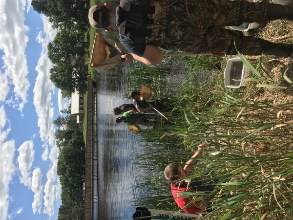 Students sampling aquatic insects near Necedah's visitor center