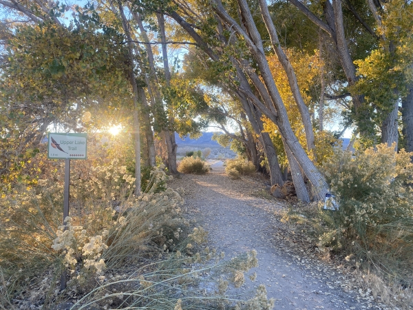 The entrance to Pahranagat's Upper Lake Trail with trail sign, trail, and vegetation pictured.
