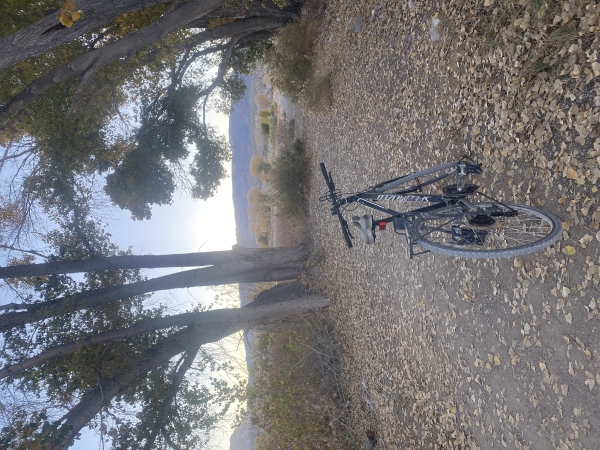 A bicycle on Pahranagat's Upper Lake Trail