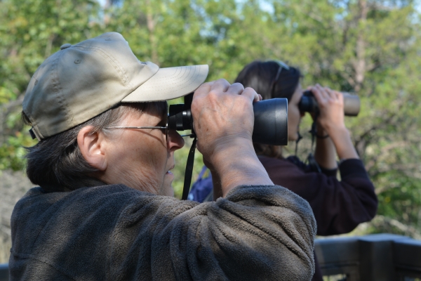 Pair with binoculars looking at wildlife 