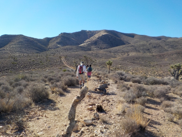A group of hikers setting out on a trail.