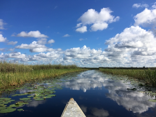 The bow of a canoe on the canoe trail with the reflection of blue sky and white clouds on the water.