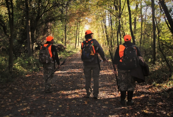Three hunters wearing safety vests walk into the autumn trail. 