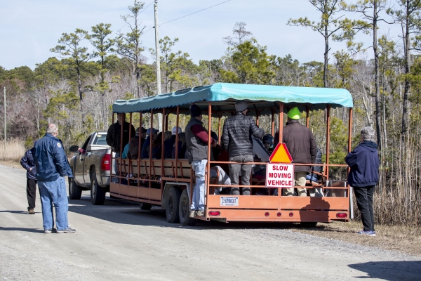 An open-air tram filled with people pulled on the side of a gravel road with pine forest in the background